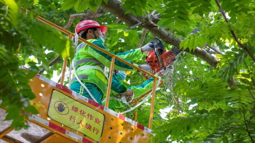 金湾山城区绿化工程